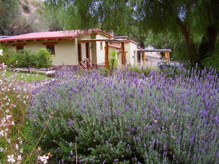Posada Don Juan Tilcara Exterior photo